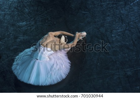 A prima ballerina in the role of "Odette" in the scene of the ballet "Swan Lake" performs at the theater stage