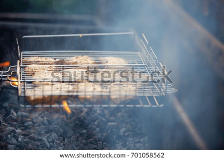Fried meat on a grilled