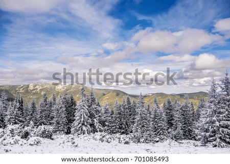 Fantastic winter mountain landscape. perfect clouds on the blue sky, alp trees under snow. glowing in sunlight. Dramatic wintry scene. Beauty on the world. creative image