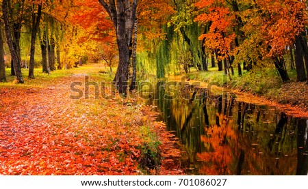 Autumn landscape beautiful trees with colored leaf over the river, glowing in sunlight. wonderful picturesque scenery. color in nature. gorgeous, amazing scene. creative image. artistic picture