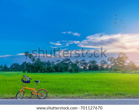 Abstract soft blurred and soft focus the silhouette of paddy rice field with the bicycle, the sunset, the beautiful sky and cloud in Thailand.by the beam, light and lens flare effect tone.