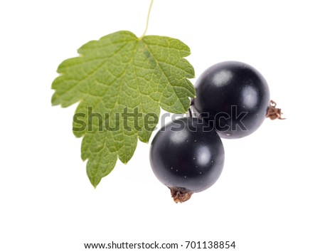 Sweet blackcurrant berries with leaf, isolated on white