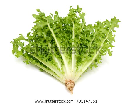 fresh green kale leaves isolated on white