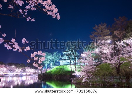 Takada castel and Sakura on the night. Cherry blossom are light up.