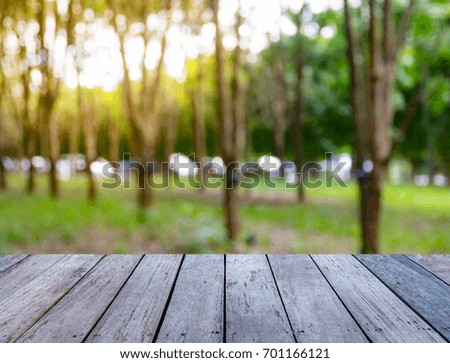Wood plank with abstract rubber plantation blurred bokeh background for product display 