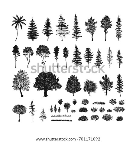 Vector set of trees, grass and bushes. Hand drawn sketch isolated on a white background