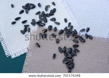 Sunflower seed on the linen texture background