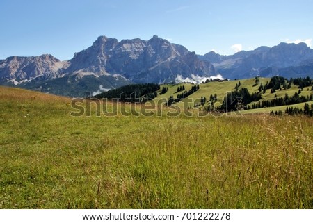 Landscape of Dolomites mountain at Col Alt   in Alto Adige, Sud Tyrol, Italy