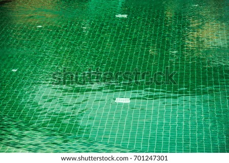 mosaic of the swimming pool  of green