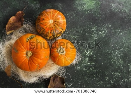 Ripe pumpkins on a green background. Top view, copy space. Food background