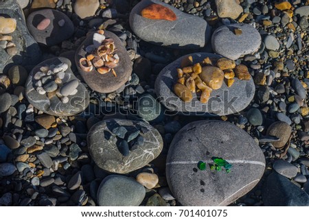 photograph of multicolored sea pebbles