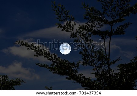 Bright and clear full moon in blue sky