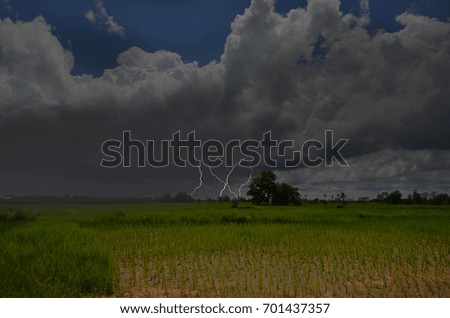 Rainy clouds and lightning over rice field