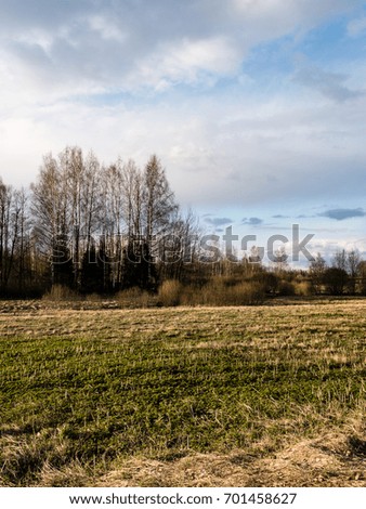 bright fresh fields in country under blue sky with white storm clouds - vertical, mobile device ready image