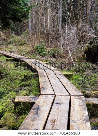 wooden footbridge in the bog in the countryside surrounded by forest - vertical, mobile device ready image
