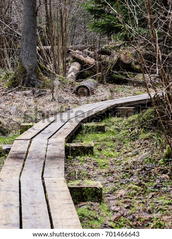 wooden footbridge in the bog in the countryside surrounded by forest - vertical, mobile device ready image