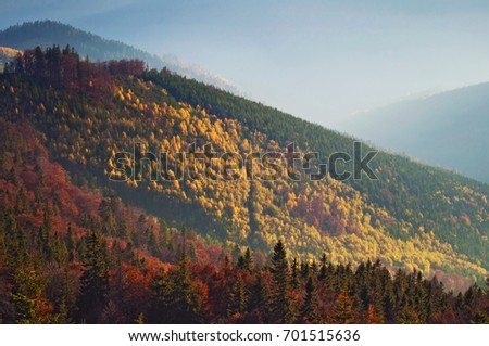 Closeup of hills of a smoky mountain range covered in white mist and deciduous forest on a warm fall evening in October. Carpathians, Ukraine