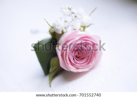 Delicate pink rose small bouquet for buttonhole used for groom and wedding guests positioned against a white background. Fabulous, traditional ideas for wedding or engagement floral arrangements.