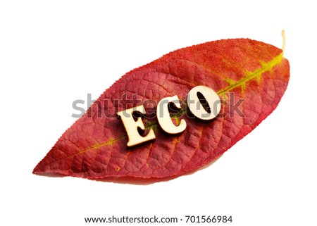 the inscription eco wooden letters on autumn leaf
