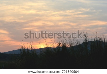 Sunset Sky and grassland for Background.