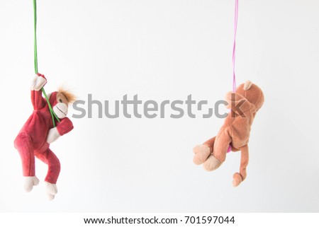 Naughty monkeys hang on the green line, Everywhere the monkeys are happy, Monkeys hanging on the rope with a happy feel