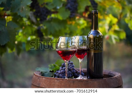 Two glasses of red wine and bottle in the vineyard Royalty-Free Stock Photo #701612914