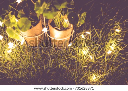 Small artificial plant pot with warm lights on meadow at night  for background vintage color filter
