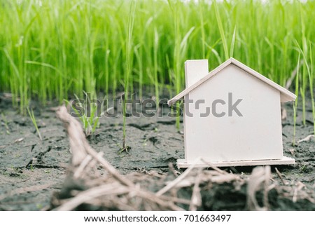 Model house in the meadow with grass and broken soil in the evening. 