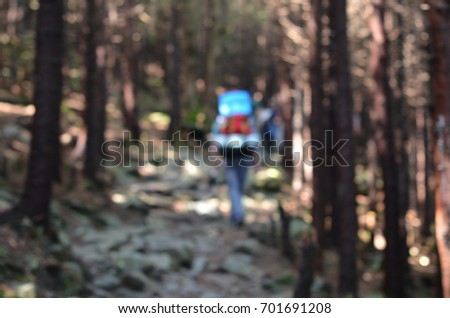 hiker walk in mountain forest with blur background