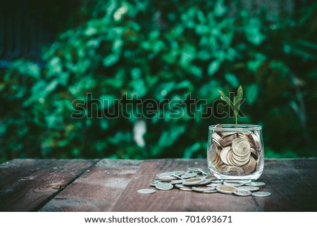 Gold coins in glass with plant on wood,saving money concept,Plant growing in glass with coins full