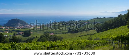 Vineyards on the coast of Getaria, Basque Country, Spain