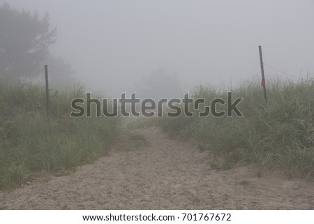 path to the beach on a foggy morning , at the beach