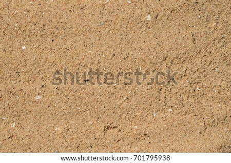 Sandy Beach Background. Detailed sand texture