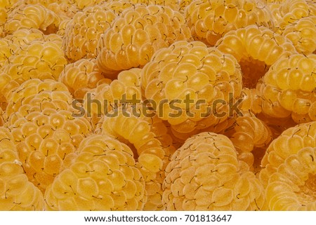 Group of yellow raspberries as a detailed background