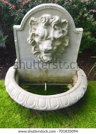 Ornamental Lion Water Fountain In Back Yard