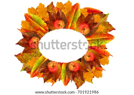Creative layout With autumn leaves And apples . autumnal Creative layout. Flat lay. Autumn season concept. Oval frame with bright autumn leaves isolated on white background. Collage