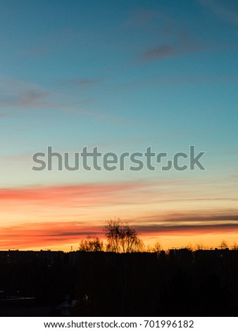 sunset over the city with dramatic colorful sky and tree silhouettes - vertical, mobile device ready image