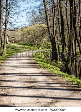 forest road with sun rays and shadowsin the morning in the countryside - vertical, mobile device ready image