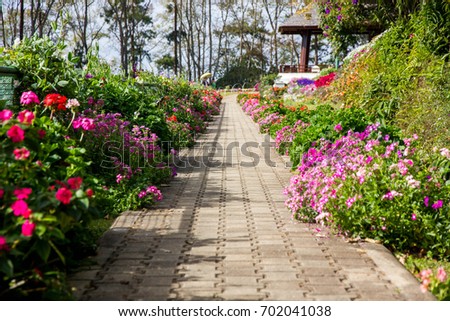 The passage and flowers