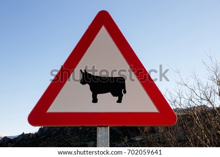 Sign of traffic of danger loose domestic animals, of triangular form and with the image of a cow