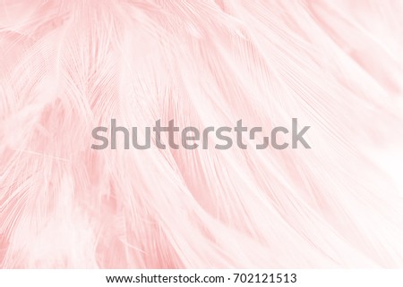Beautiful Coral Pink vintage color trends feather texture background,pastel tone
