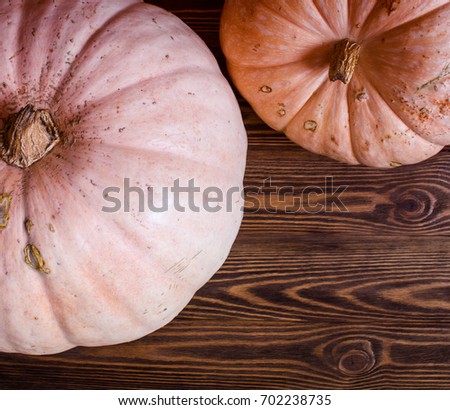 Pumpkins on the wooden background. Season picture.