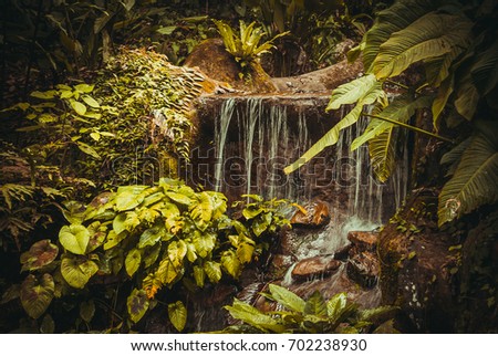 A stream in the jungle. Malaysia, Asia Borneo Sabah