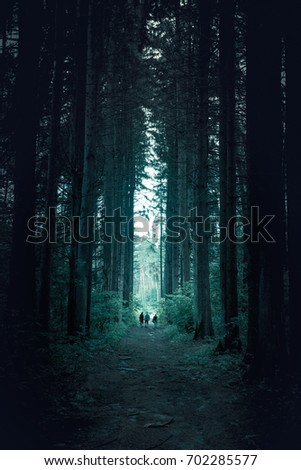 Pathway through the dark mystery spruce forest. Group of people are walking through.