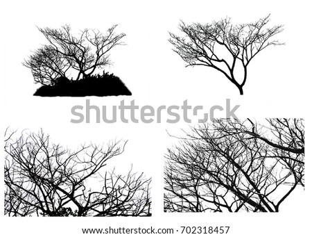 Collection of Silhouette dead tree isolated on white background.