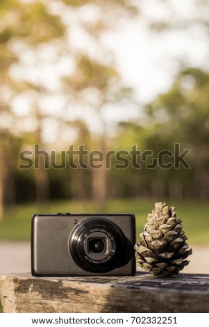 camera and Pine nut