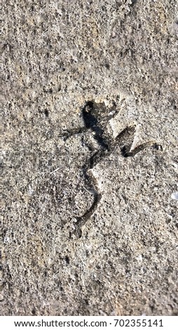 Imprint of frog in cement