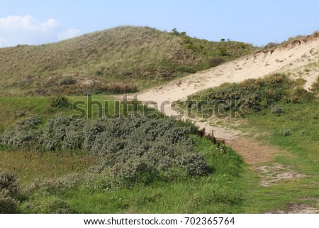 dunes landscape, Noordhollands Duinreservaat 