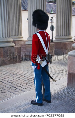 The guards of honour guarding the Royal residence Amalienborg Palace in Copenhagen, Denmark Royalty-Free Stock Photo #702377065