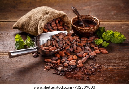 Cocoa concept with raw, peeled, and crushed Theobroma cacao cocoa beans Royalty-Free Stock Photo #702389008